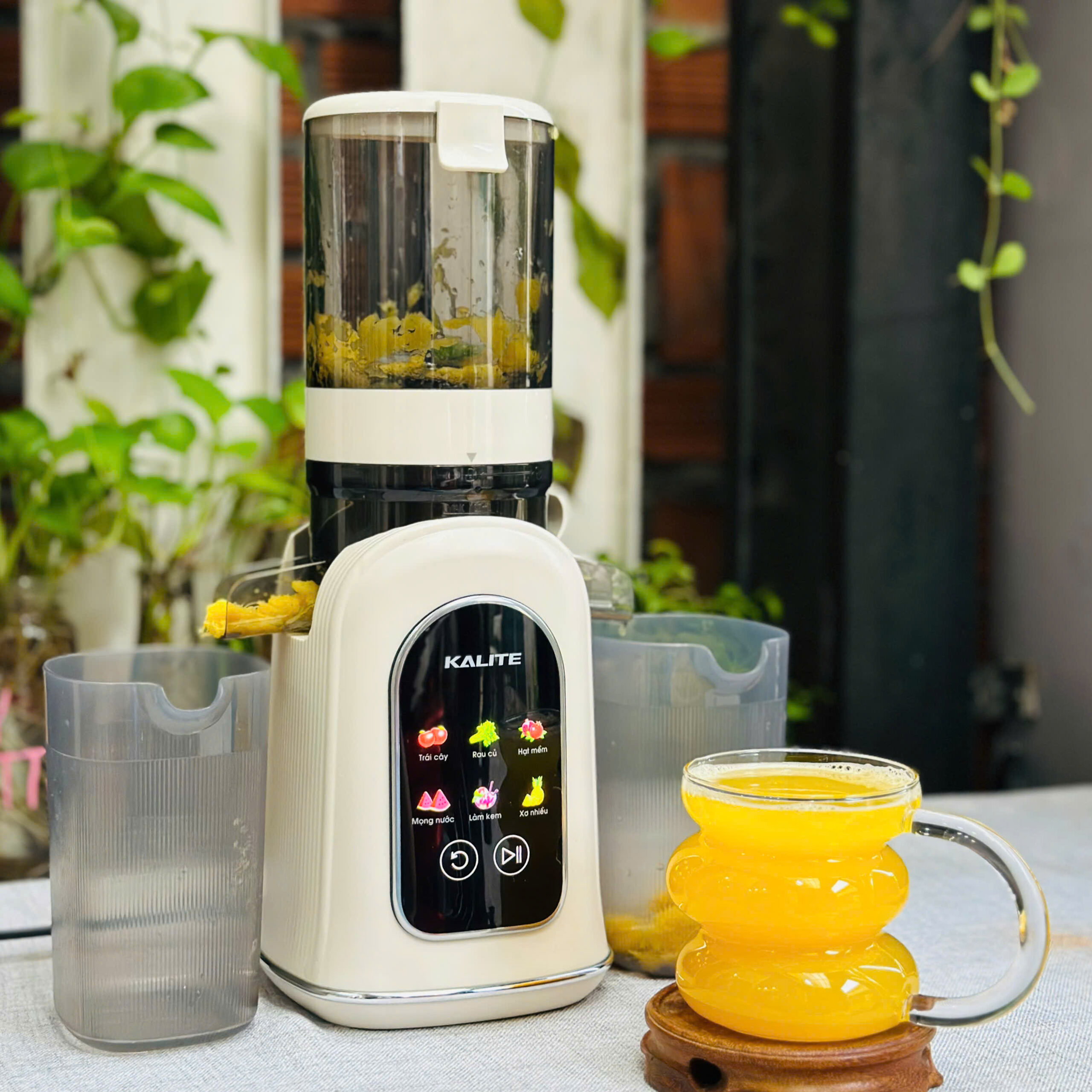 Máy ép chậm Kalite KSJ569 - Image 6