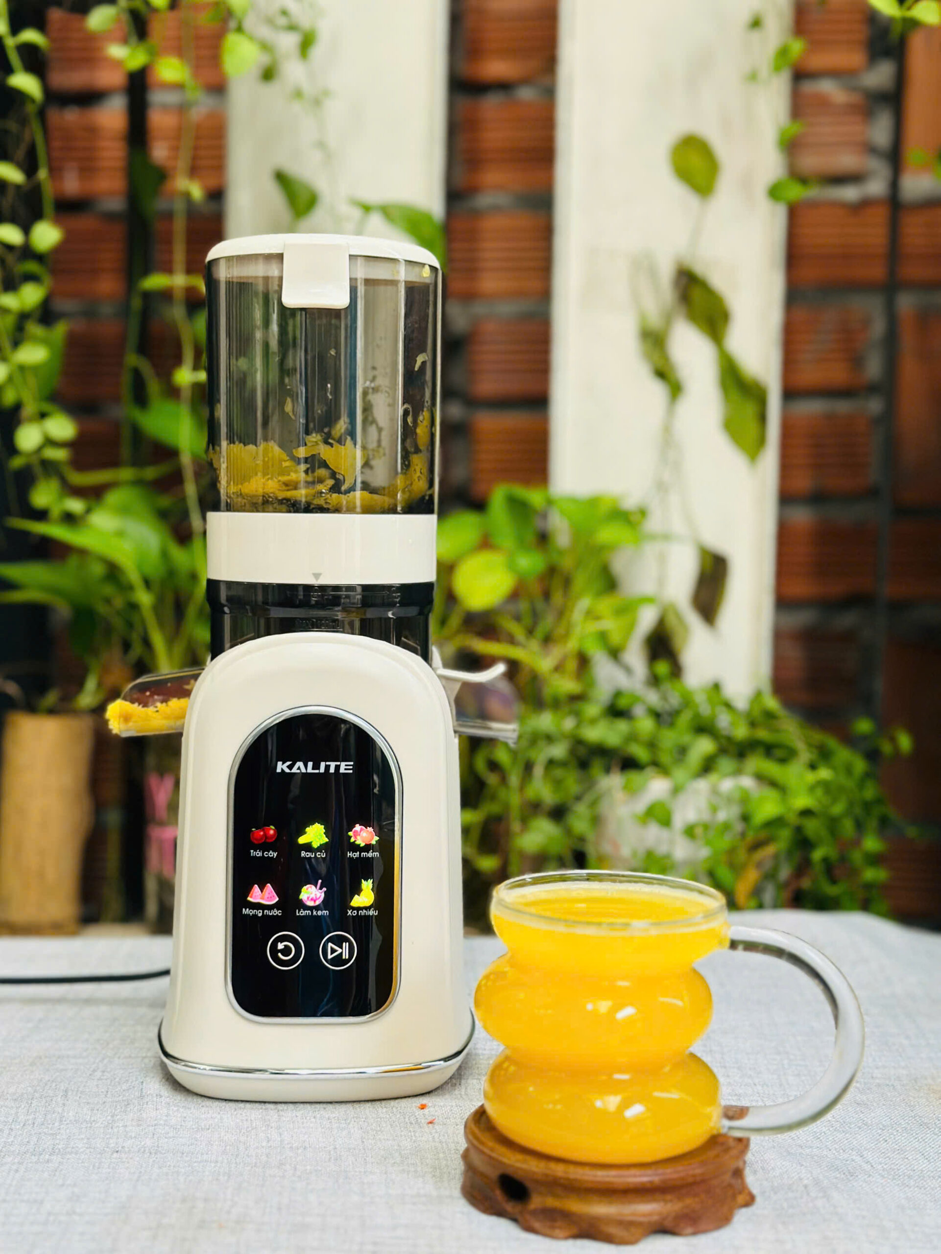 Máy ép chậm KSJ569
